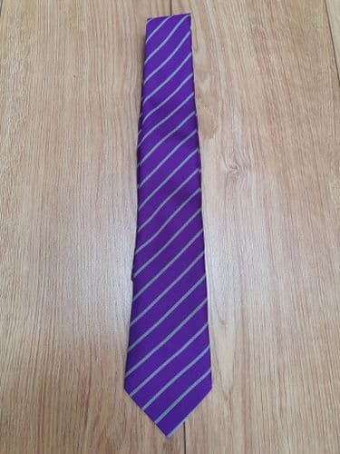 YEAR COLOUR TIE-ALPERTON HIGH SCHOOL-PURPLE