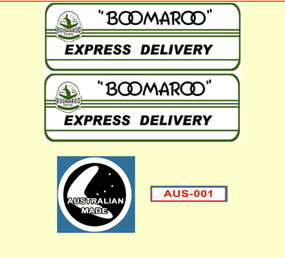 96A  Boomaroo Toys Express Delivery Green