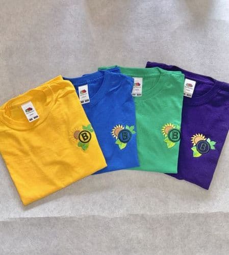 (SS12B) NEW PE House Colours T-Shirt (Yellow, Green, Blue, Purple)