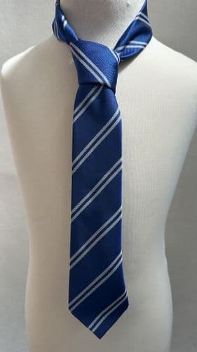 NEW Tie (Cupernham Junior School)