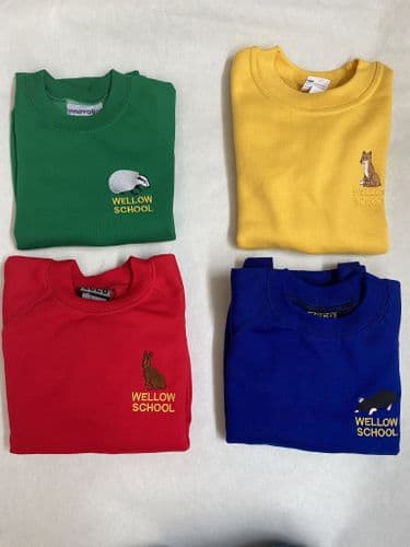 PE House Colours Sweatshirt (Red, Yellow, Green, Blue) (Wellow)