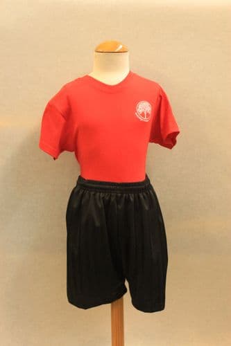 PE T-Shirt (Awbridge)