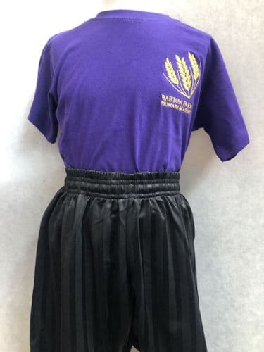 PE T-Shirt (Barton Farm Academy)