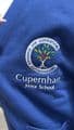 Royal V Neck Sweatshirt  (Cupernham Junior School)