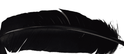 E022 Turkey Quills/Feathers.  7 Colours. 10 Pieces