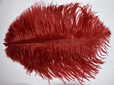 ST31 Ostrich Plumes. 2 Colours. 10 Feathers