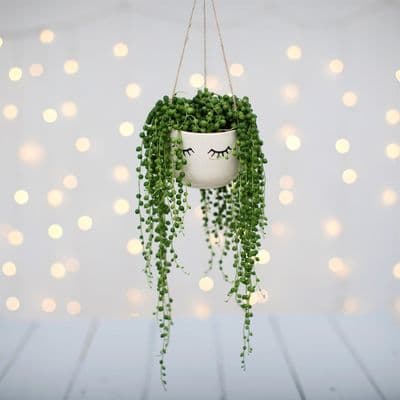 'Eyes  Wide Shut' Ceramic Hanging Planter