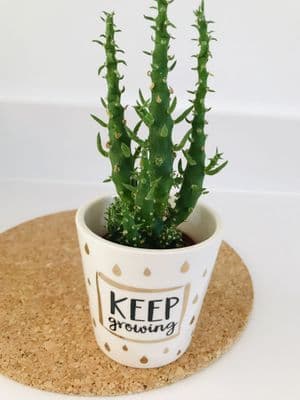 'Keep Growing' Mini Planter