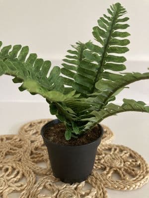 •••SECONDS*** Artificial Faux Mini Fern Plant