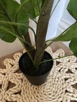 Artificial Faux Chinese Money Plotted Plant