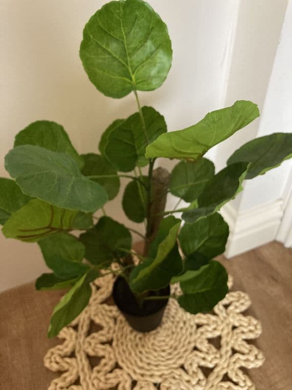 Artificial Faux Chinese Money Plotted Plant