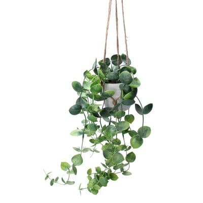 Artificial Faux Hoya Trailing Hanging Plant by Gisela Graham