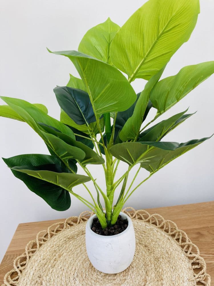 Artificial Faux Philodendron in Pot by Gisela Graham Large