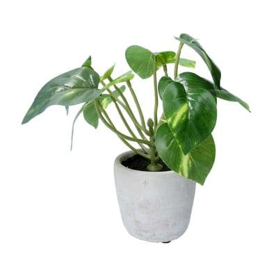 Artificial Faux Philodendron in Pot, Small