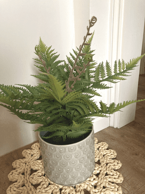 Artificial Faux Unfurling Fern Potted Plant