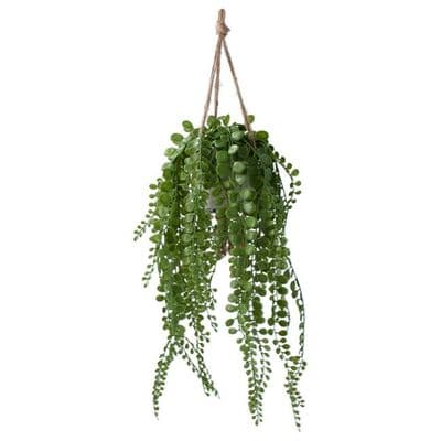 Artificial String of Nickels, Hanging Plant by Gisela Graham