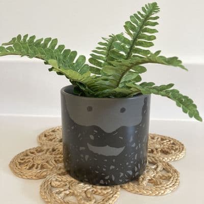 Bernard Bearded Face Ceramic Plant Pot/Planter, Medium