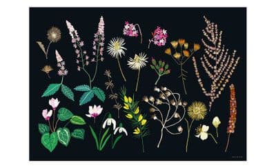 Brie Harrison 'Late Winter Study' A3 Art Print