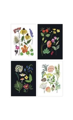 Brie Harrison 'Nature Series' Postcard Pack