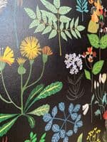 Brie Harrison 'Plant Study' A3 Art Print