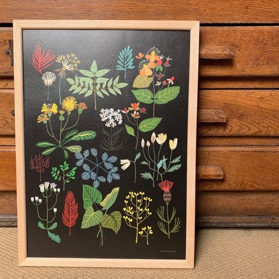 Brie Harrison 'Plant Study' A3 Art Print