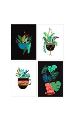 Brie Harrison 'Pot Plant Series' Postcard Pack