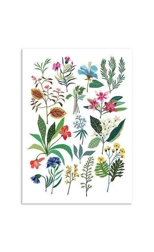 Brie Harrison 'Summer Study' A3 Art Print