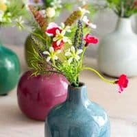 Ceramic Stem Vase - Assorted Colours