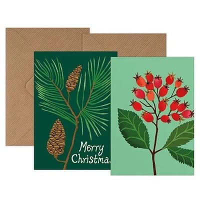 Christmas Pine & Rosehip Christmas Card, Pack of 6 Brie Harrison