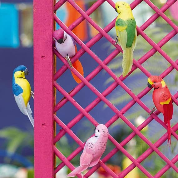 Clip-On Tropical Parrot Decorations