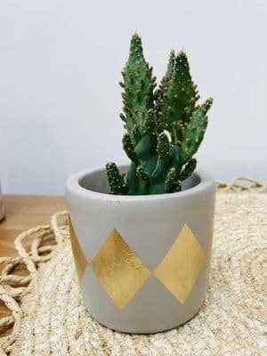 Concrete and Gold  Diamond Pattern Plant Pot/Planter