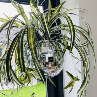 Disco Mirror Ball Hanging Planter,Large