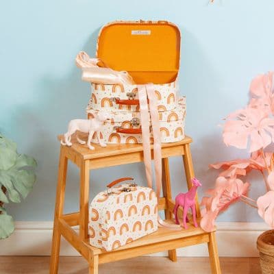 Earthy Muted Tones Rainbow Storage Cases, Set of 3