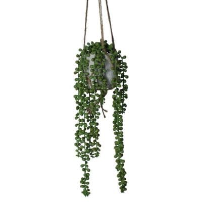 Faux String of Pearls,  Hanging Pot Plant by Gisela Graham