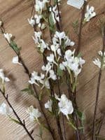 Gisela Graham White Blossom Branch