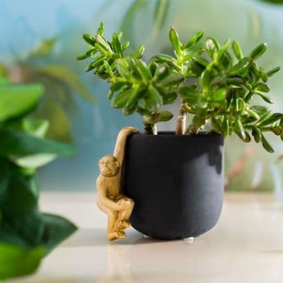 Gold Monkey Hanging Monkey Plant Hanger