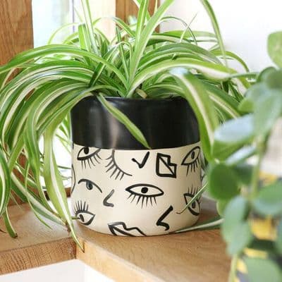 Large Abstract Lips and Eyes Planter Pot