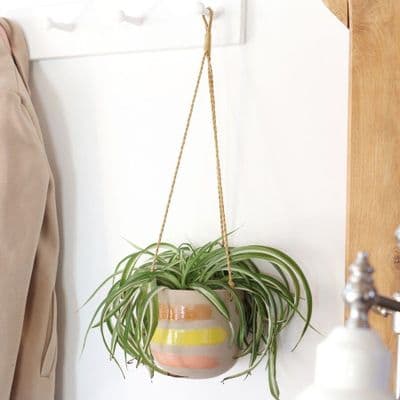 Large Abstract Paint Stripe Hanging Planter