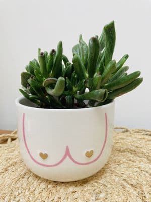 Large Boobies Plant Pot/Planter