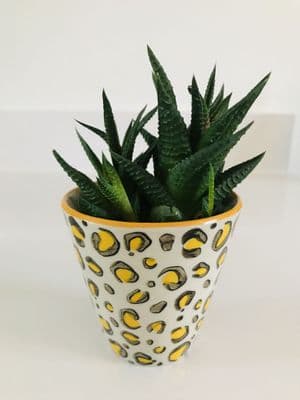 Mini Leopard Print Plant Pot/Planter