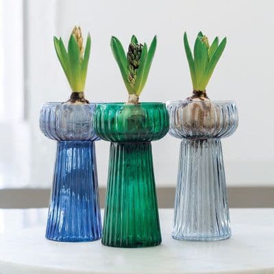Ribbed Hyacinth Glass Vase