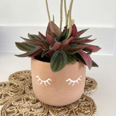 SECONDS 'Eyes Wide Shut' Terracotta Mini Plant Pot/Planter