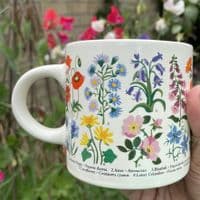 Summer Wildflower Study Mug