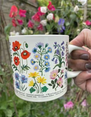 Summer Wildflower Study Mug
