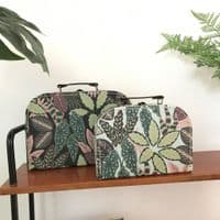 Variegated Leaves - Green and Pink Storage Cases