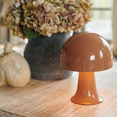 Warm Brown  LED Mushroom Lamp by Abigail Ahern