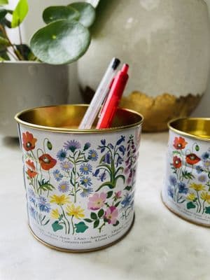 Wildflower Study Mini  Tins, Set of 2