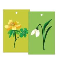 Winter Flowers  Gift Tags by Brie Harrison,  Pack of 6