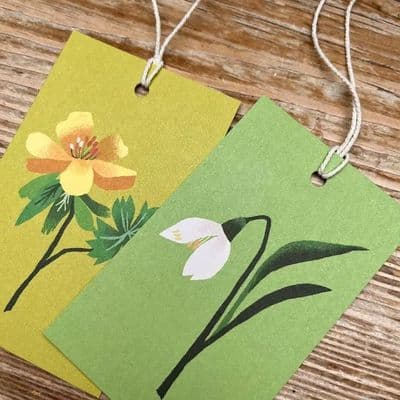 Winter Flowers  Gift Tags by Brie Harrison,  Pack of 6