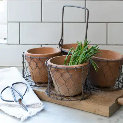 Wire Basket With 4 Terracotta Plant Pots